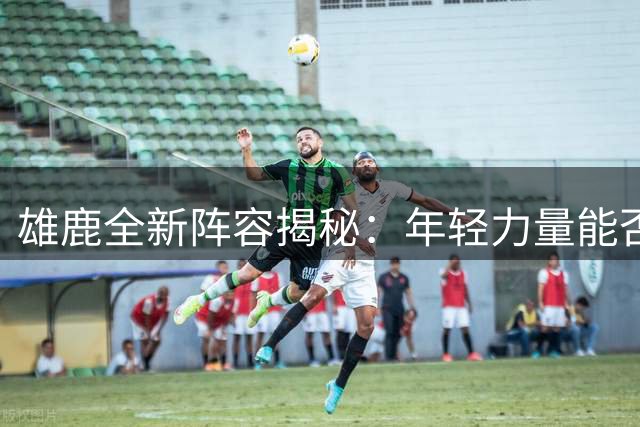 雄鹿全新阵容揭秘：年轻力量能否改写胜率纪录？