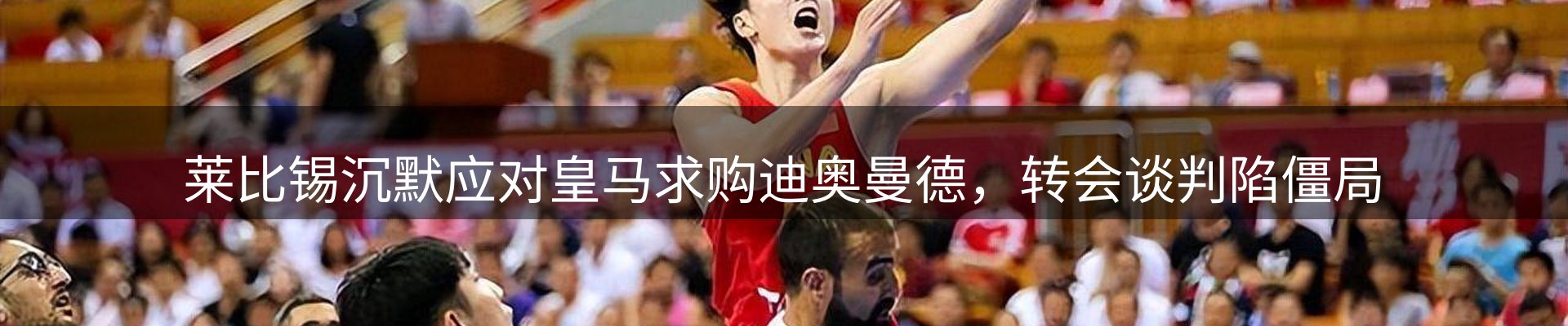 最新动态