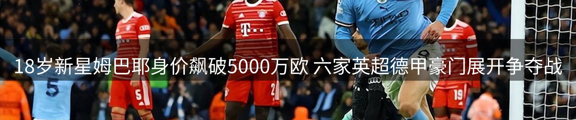 最新动态
